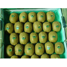 2011 fresh china kiwi fruit with the best price